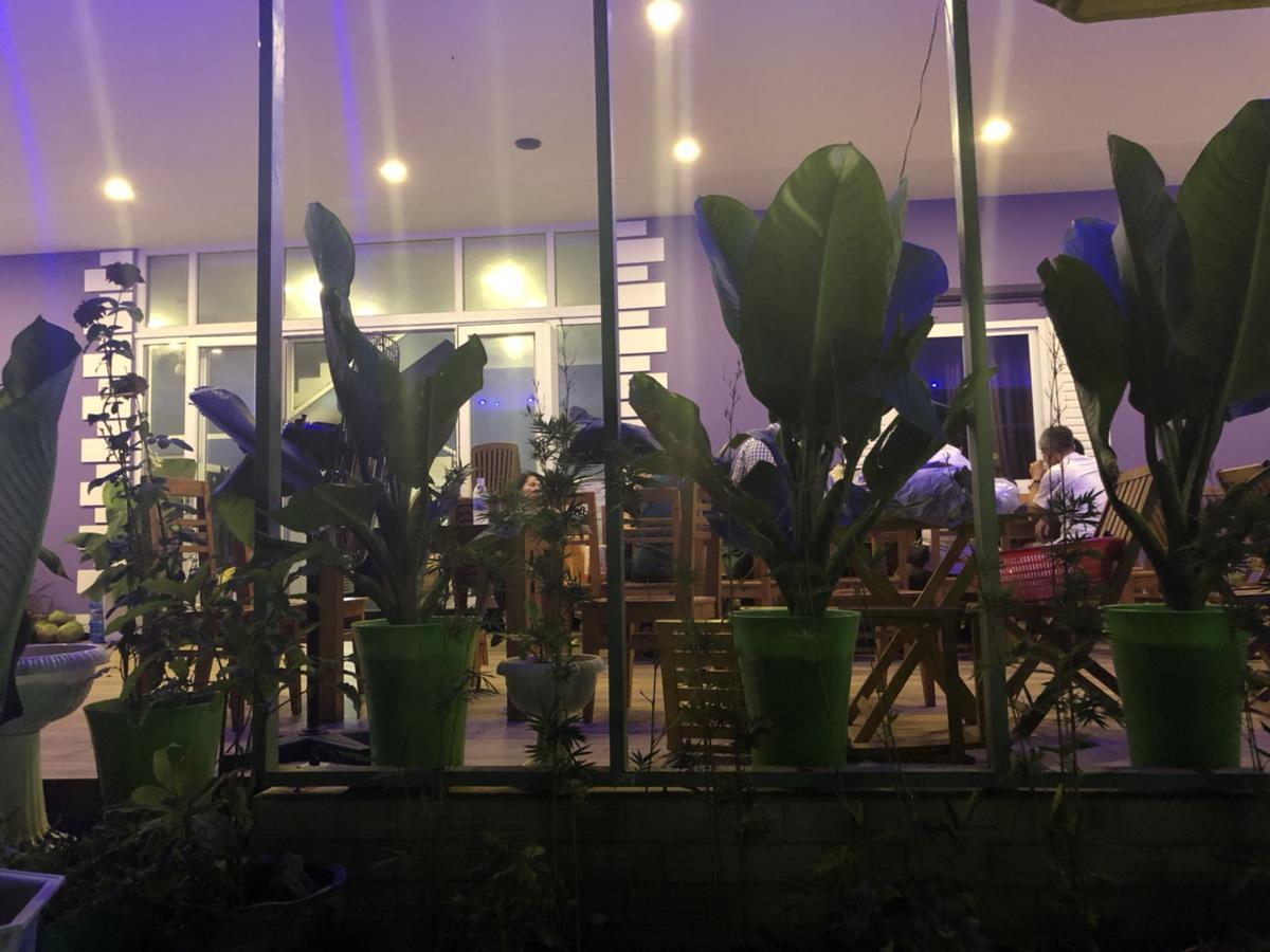 Q Songchi Hotel Chi Khu Co Ong المظهر الخارجي الصورة